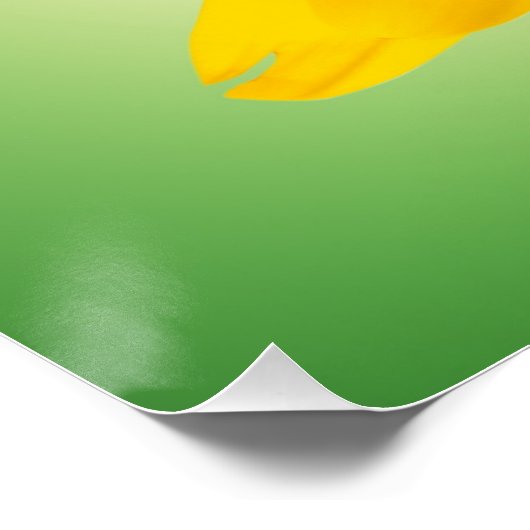 Gele bloem perfect poster (Hoek)