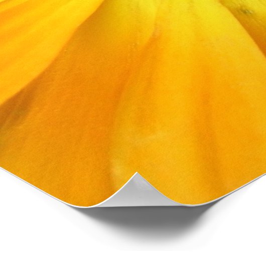 gele bloem poster (Hoek)