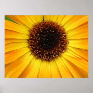 gele bloem poster