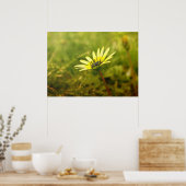 Gele bloem poster (Keuken)