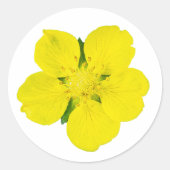 Gele Bloem – Uitgesneden Macro Foto Sticker (Voorkant)