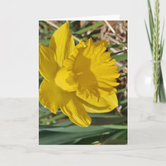 Gele bloem wenskaart kaart (Voorkant)