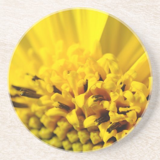 Gele bloem zandsteen onderzetter (Voorkant)