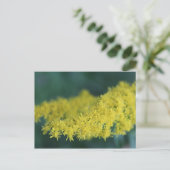 Gele bloemen #13 briefkaart (Staand voorkant)