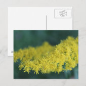 Gele bloemen #13 briefkaart (Voorkant / Achterkant)