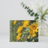 Gele bloemen Beer Paw Mtns Briefkaart (Staand voorkant)