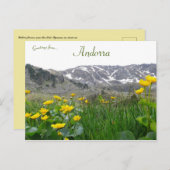 Gele bloemen bij de Midi Pyreneeën in Andorra Briefkaart (Voorkant / Achterkant)