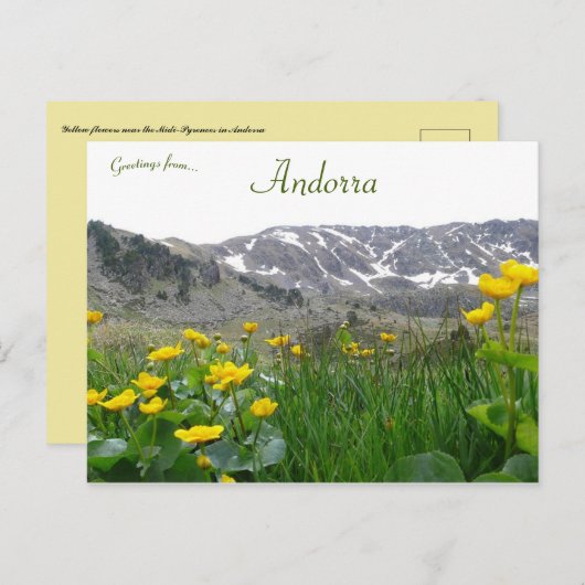 Gele bloemen bij de Midi Pyreneeën in Andorra Briefkaart (Voorkant / Achterkant)