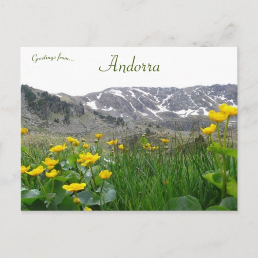 Gele bloemen bij de Midi Pyreneeën in Andorra Briefkaart (Voorkant)