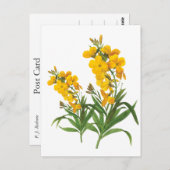  gele bloemen botanische illustratie briefkaart (Voorkant / Achterkant)