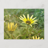Gele bloemen briefkaart (Voorkant)