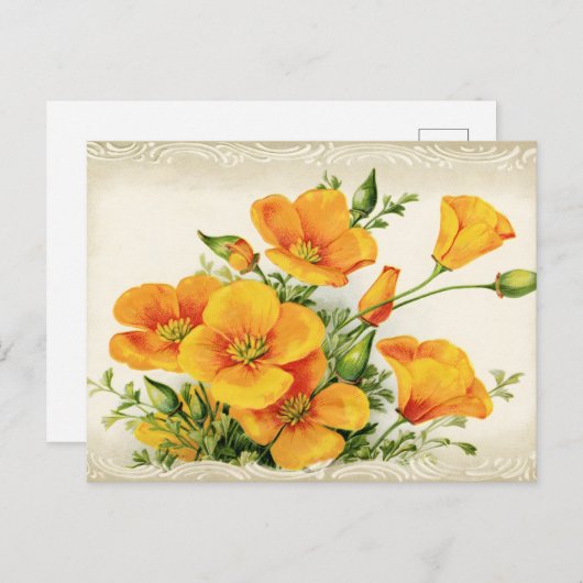   Gele Bloemen Briefkaart (Voorkant / Achterkant)