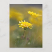 Gele bloemen briefkaart (Voorkant)