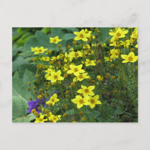 gele bloemen briefkaart