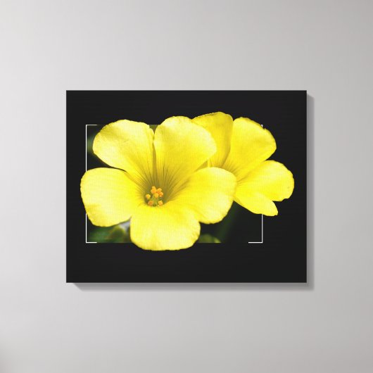 gele bloemen canvas afdruk (Voorkant)