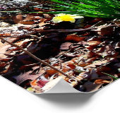 Gele bloemen Daffodils in de Bossen Foto Poster (Hoek)