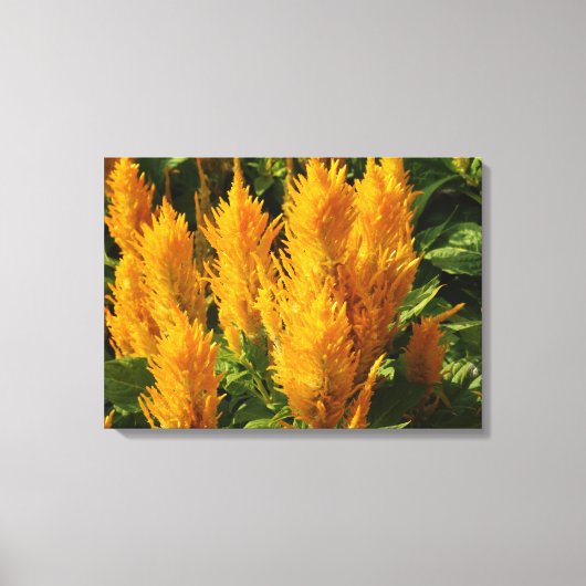 Gele bloemen Enkele print (Voorkant)