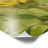 Gele bloemen foto afdruk (Hoek)