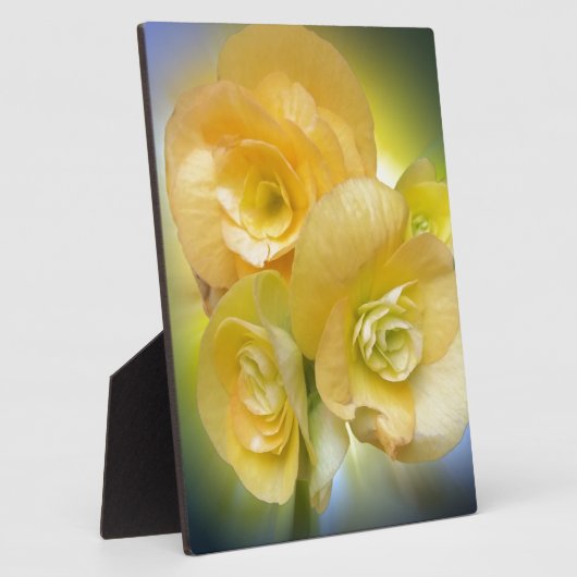 gele bloemen fotoplaat (Zijkant)