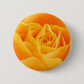 Gele bloemen, Gele rozen, Florale achtergrond Ronde Button 5,7 Cm (Voorkant)