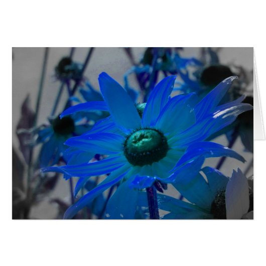 Gele bloemen in blauw (Voorkant Horizontaal)