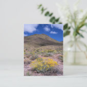 Gele bloemen in Death Valley Briefkaart (Staand voorkant)