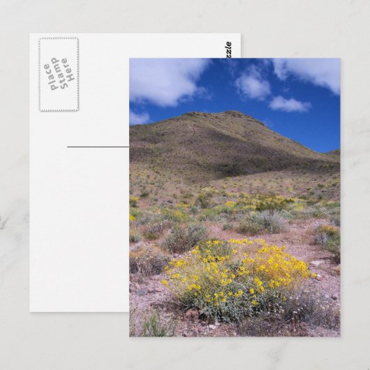 Gele bloemen in Death Valley Briefkaart (Voorkant / Achterkant)