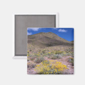 Gele bloemen in Death Valley Magneet (Voorkant / Achterkant)