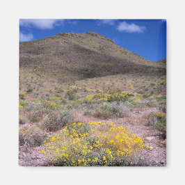 Gele bloemen in Death Valley Magneet