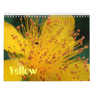 Gele bloemen kalender