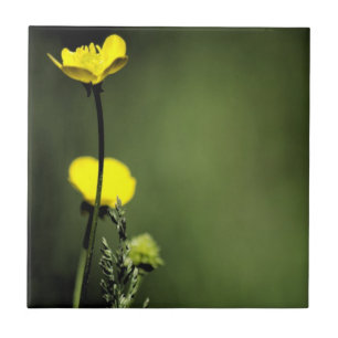 Gele bloemen keramische Tegel Tegeltje