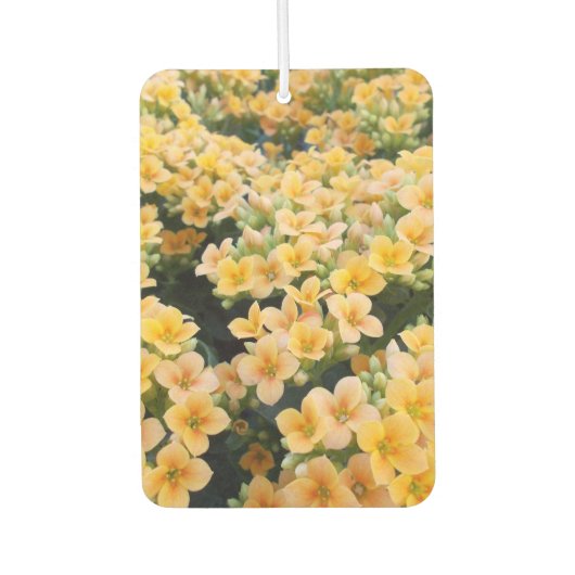 Gele Bloemen Luchtverfrisser (Voorkant)