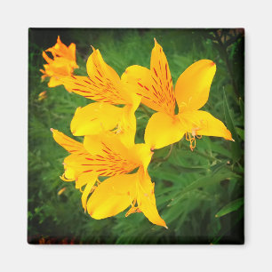 Gele bloemen magneet