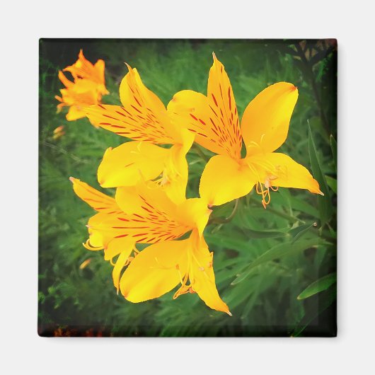 Gele bloemen magneet (Voorkant)