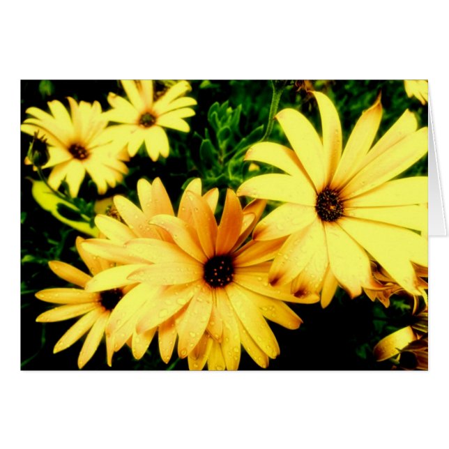 Gele bloemen met Raindrops Vloerkaart (Voorkant Horizontaal)