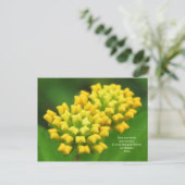 Gele bloemen met Rumi Quote Briefkaart (Staand voorkant)