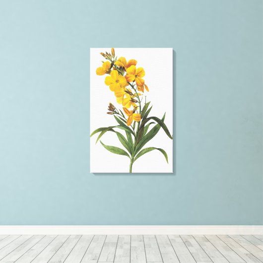 Gele bloemen (naam onbekend) Pierre Joseph Redout Canvas Afdruk (Insitu (Houten vloer))