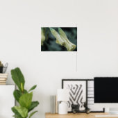Gele Bloemen - Ochtenddauw Poster (Thuiskantoor)