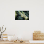Gele Bloemen - Ochtenddauw Poster (Keuken)