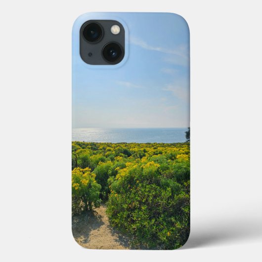 gele bloemen op de heuvel bij Point Dume Case-Mate iPhone Case (Achterkant)
