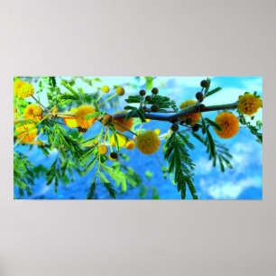 Gele bloemen op een boomtak poster