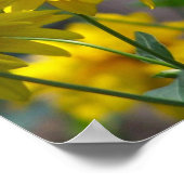 Gele bloemen op zonneschijn poster (Hoek)