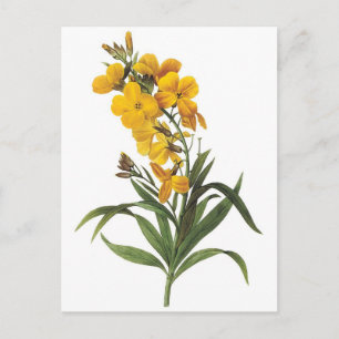 Gele bloemen, Pierre Joseph Redouté Briefkaart