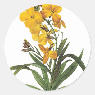 Gele bloemen,Pierre Joseph Redouté Ronde Sticker