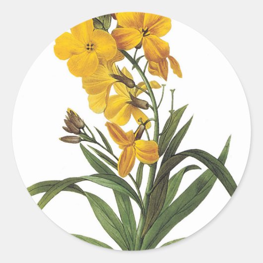 Gele bloemen, Pierre Joseph Redouté Ronde Sticker (Voorkant)