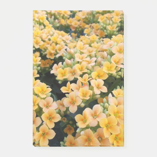 Gele Bloemen Post-it® Notes (Voorkant)