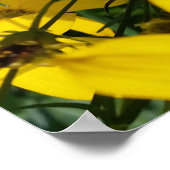 gele bloemen poster (Hoek)