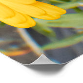 Gele bloemen poster (Hoek)