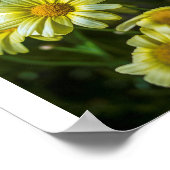 Gele bloemen Poster (Hoek)
