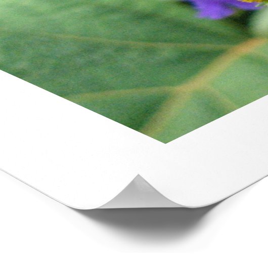 gele bloemen poster (Hoek)